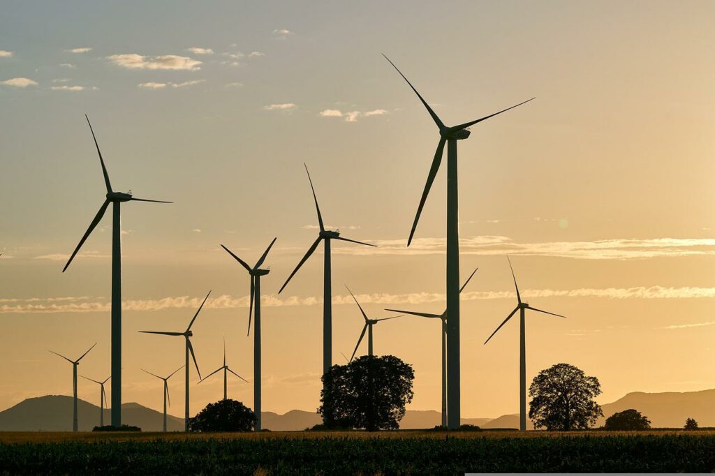 Comment travailler dans la protection de l&rsquo;environnement ?