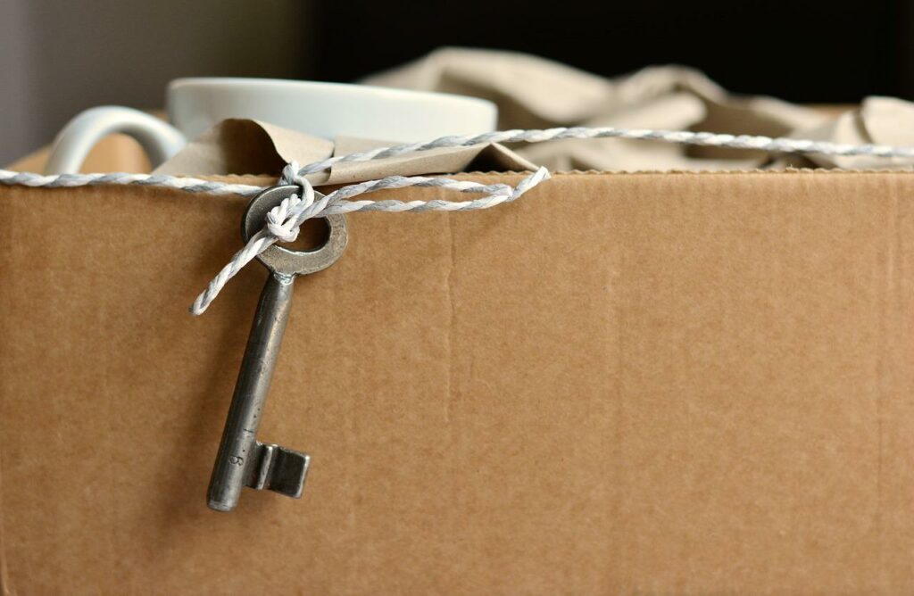 Les déménageurs professionnels peuvent-ils porter les cartons ?